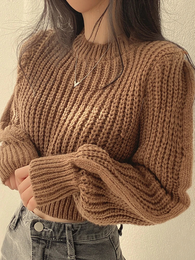 Women Sweater Knitwear Soft Warm