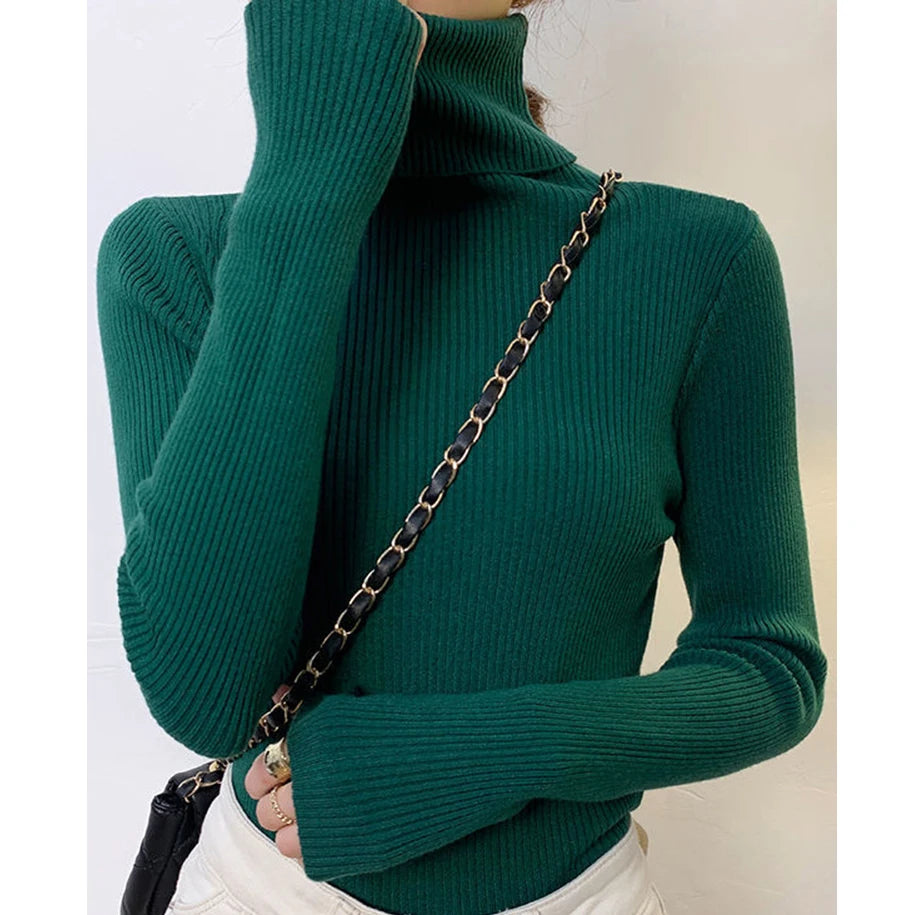 Heliar Women Fall Turtleneck