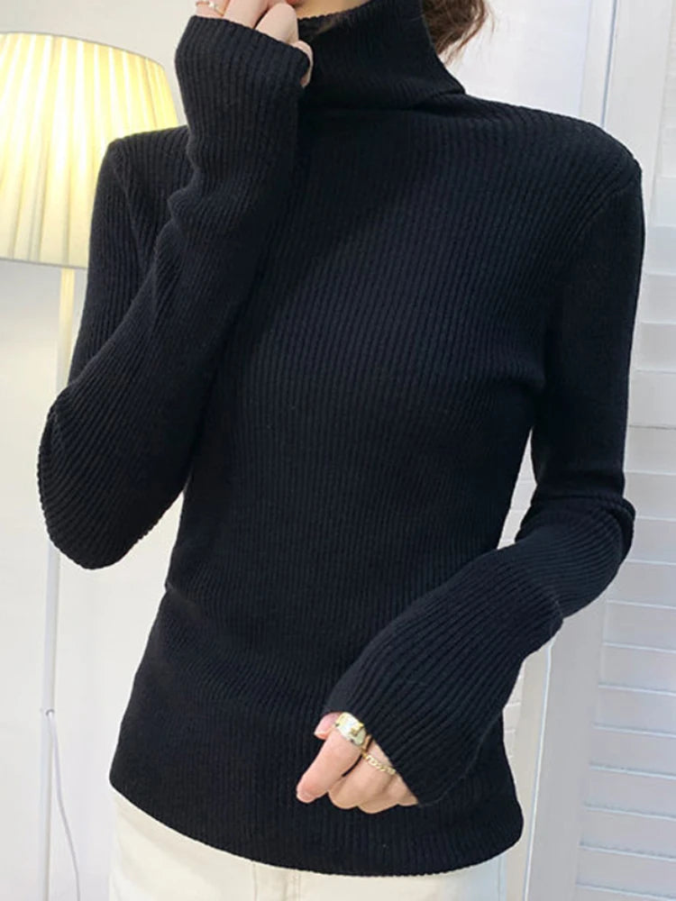 Heliar Women Fall Turtleneck