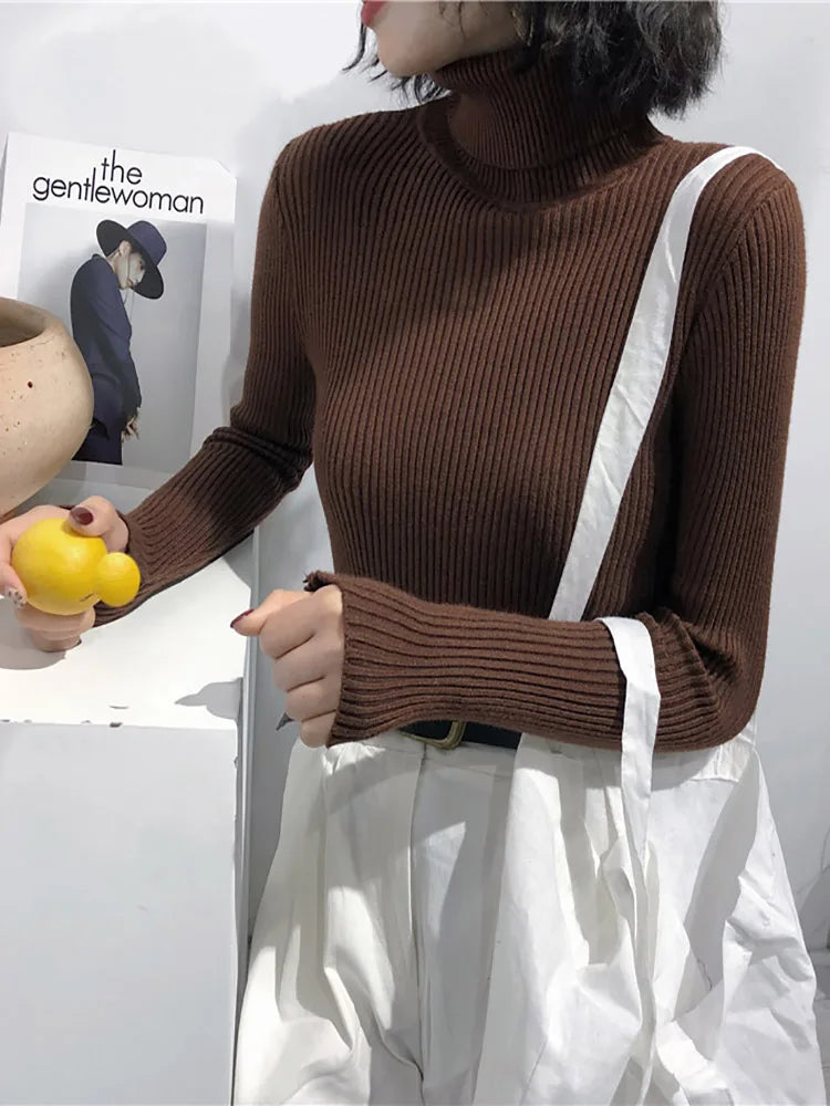 Thick Sweater Women  Soft Warm Pull Femme
