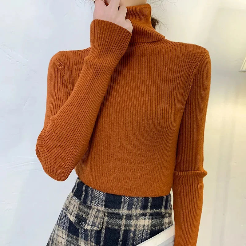 Heliar Women Fall Turtleneck