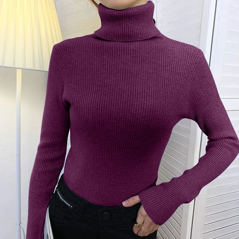 Heliar Women Fall Turtleneck